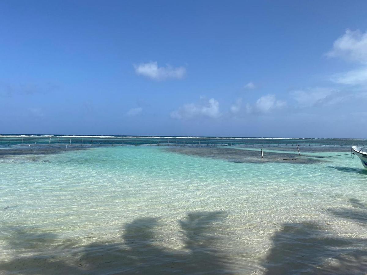 Hotel Blue Reef Frente Al Mar Mahahual Εξωτερικό φωτογραφία