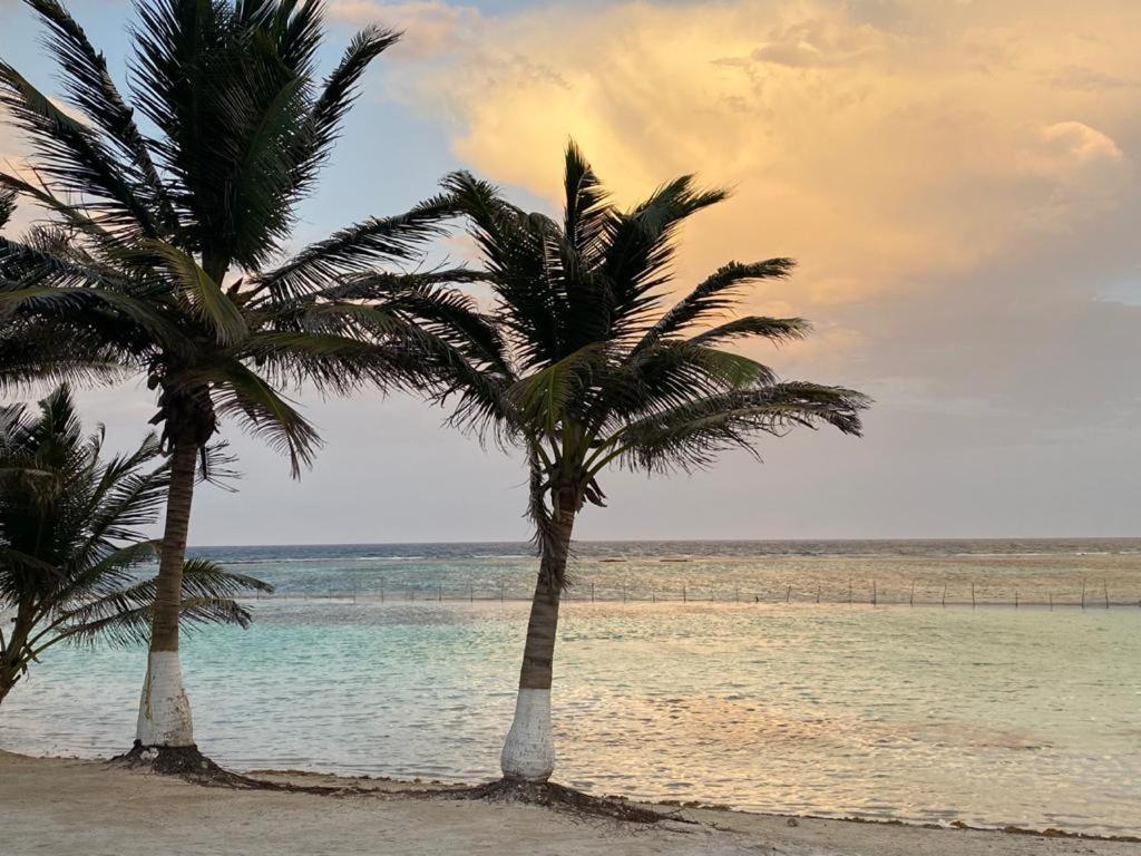 Hotel Blue Reef Frente Al Mar Mahahual Εξωτερικό φωτογραφία