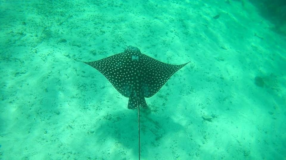 Hotel Blue Reef Frente Al Mar Mahahual Εξωτερικό φωτογραφία