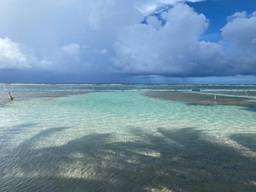 Hotel Blue Reef Frente Al Mar Mahahual Εξωτερικό φωτογραφία